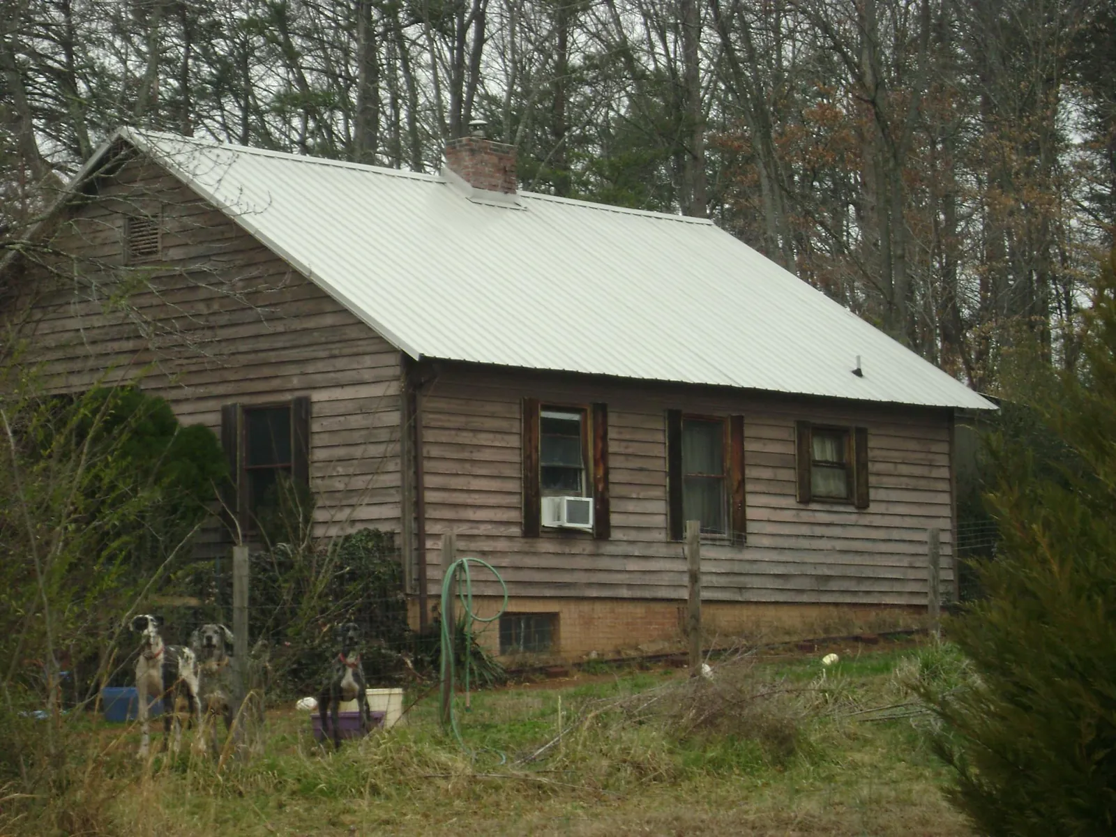 White metal roof on an old wood sided farmhouse, from a Asphalt Shingle Roof Repair job in Anna